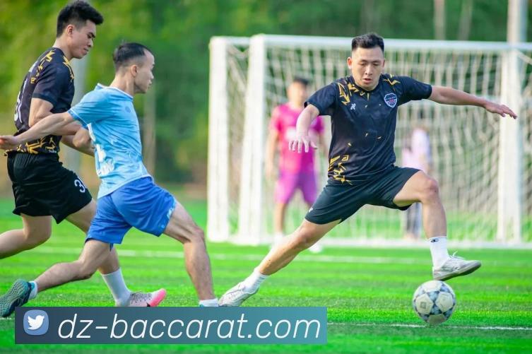 百家乐官网品牌故事